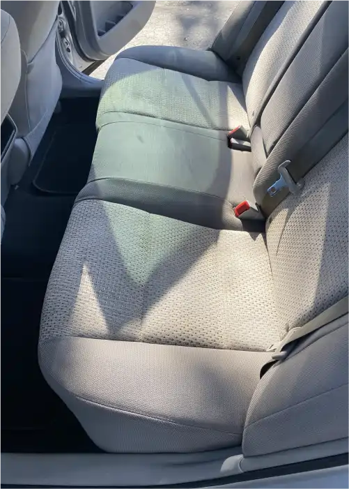 Gallery Astro Wash (2)