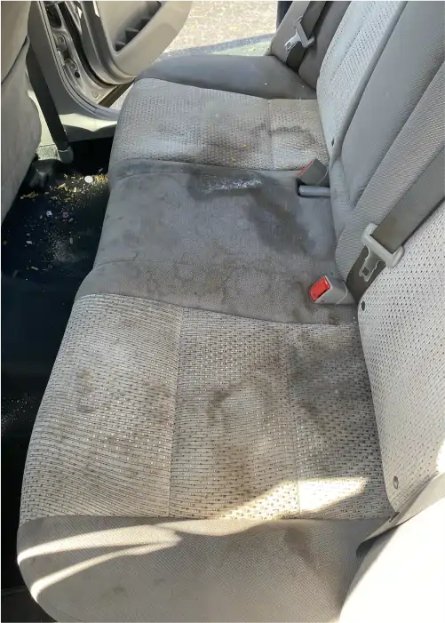 Gallery Astro Wash (3)